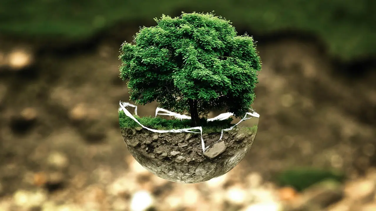 Former IKEA sustainability manager appointed CEO of Cyclothe