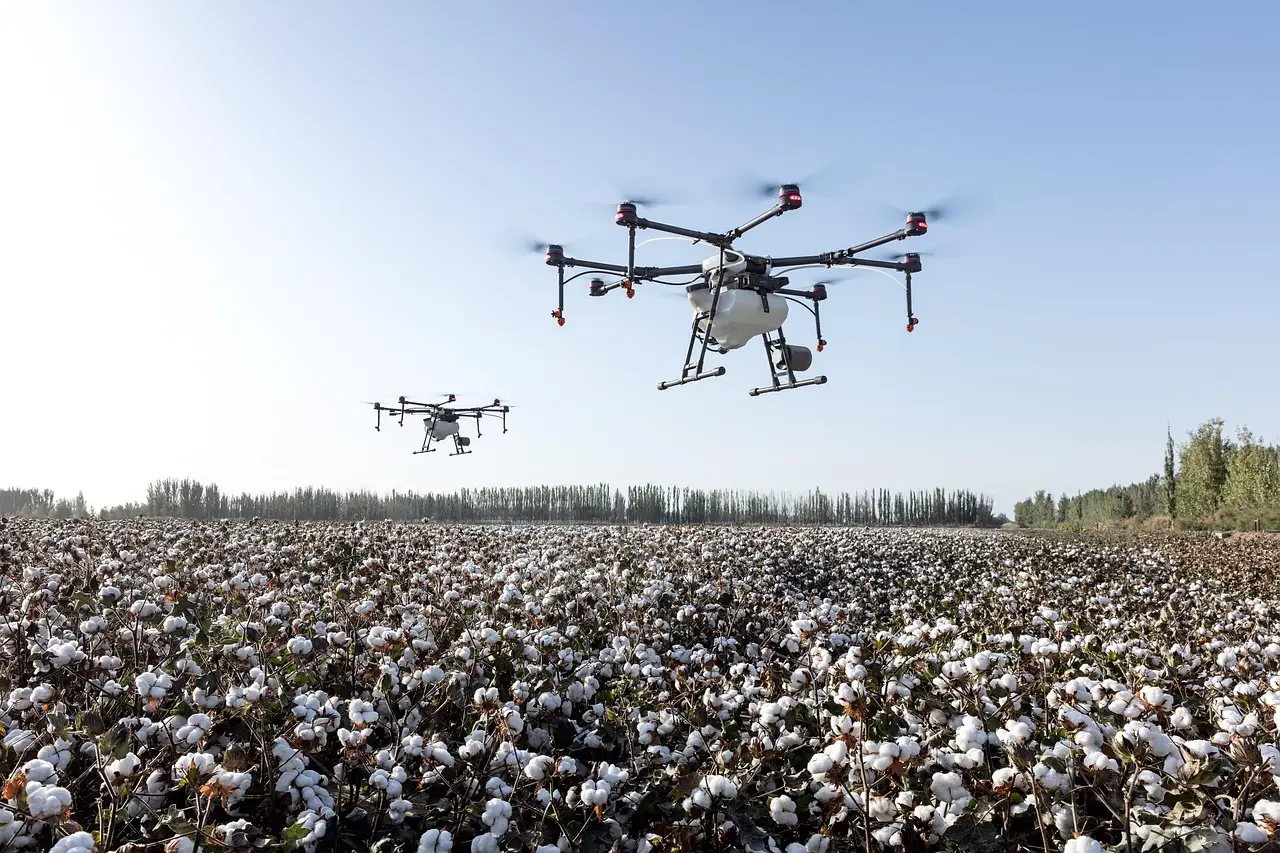 Cotton summit examines sustainability challenges
