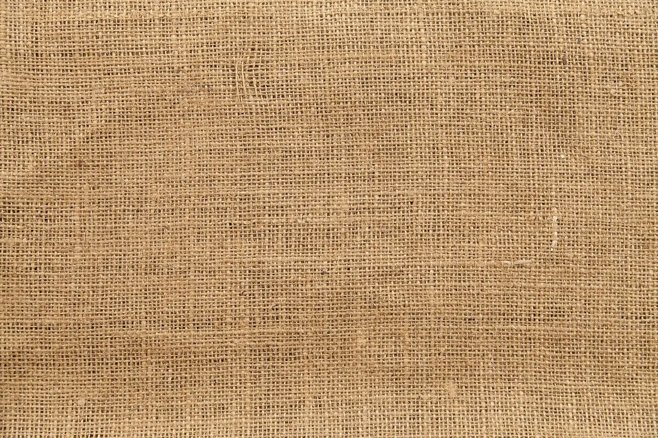 Canopy Wants Next-Gen Fibers to Boldly Go Mainstream